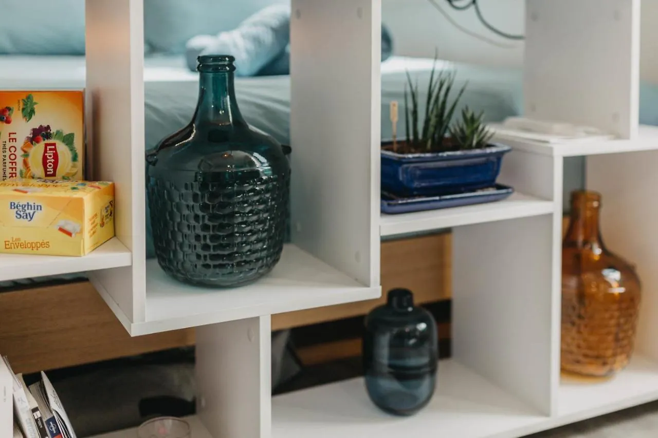 Appartement Studio Brique Bleue avec Parking Privé à Toulouse France