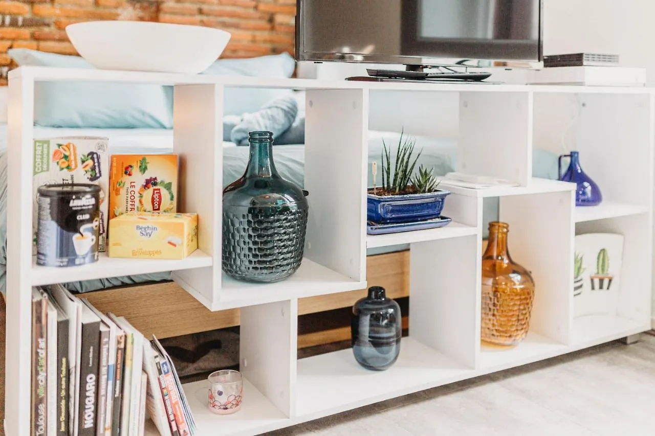 Appartement Studio Brique Bleue avec Parking Privé à Toulouse