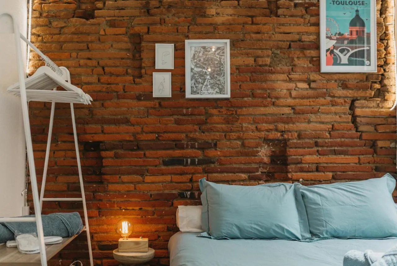 Appartement Studio Brique Bleue avec Parking Privé à Toulouse France